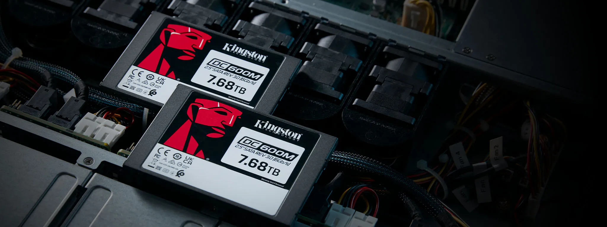 Kingston DC600M 7.68TB SSD: Sunucu Performansında Yeni Nesil Güvenilirlik