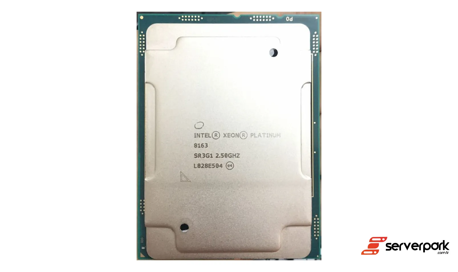 Intel Xeon Platinum 8163   2.4 GHz	  PN: SR3G1 